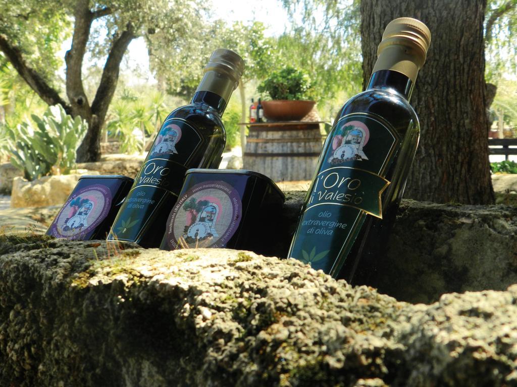 Torchiarolo Masseria Pisciani المظهر الخارجي الصورة