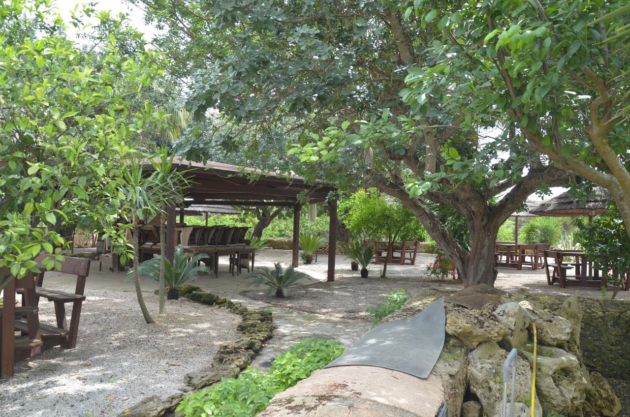 Torchiarolo Masseria Pisciani المظهر الخارجي الصورة