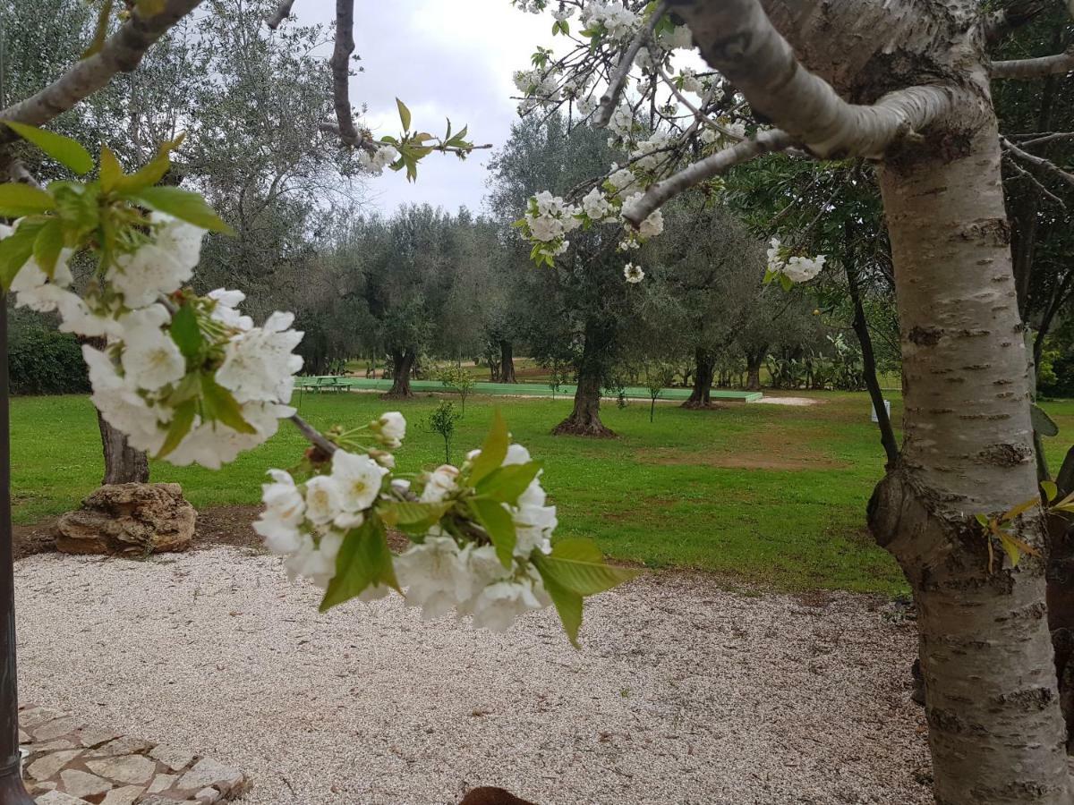 Torchiarolo Masseria Pisciani المظهر الخارجي الصورة