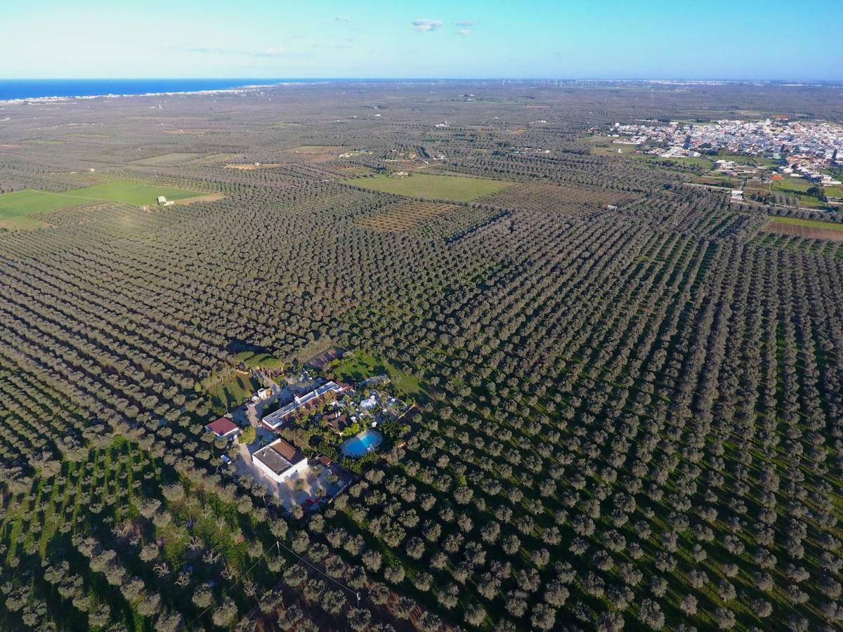 Torchiarolo Masseria Pisciani المظهر الخارجي الصورة